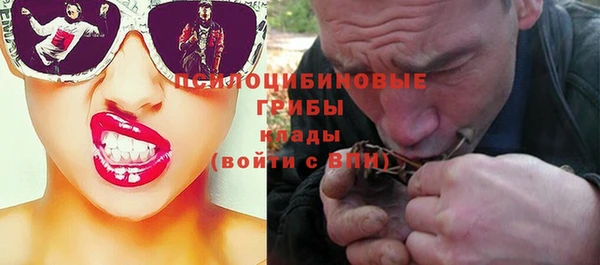 стафф Алексеевка