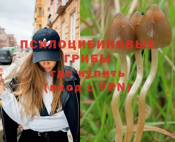 стафф Алексеевка