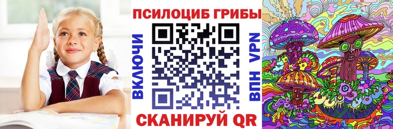 kraken вход  Дмитров  Псилоцибиновые грибы ЛСД 
